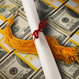 Provost Scholarships