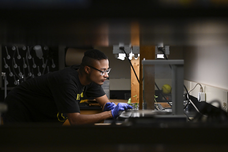 student working with plants