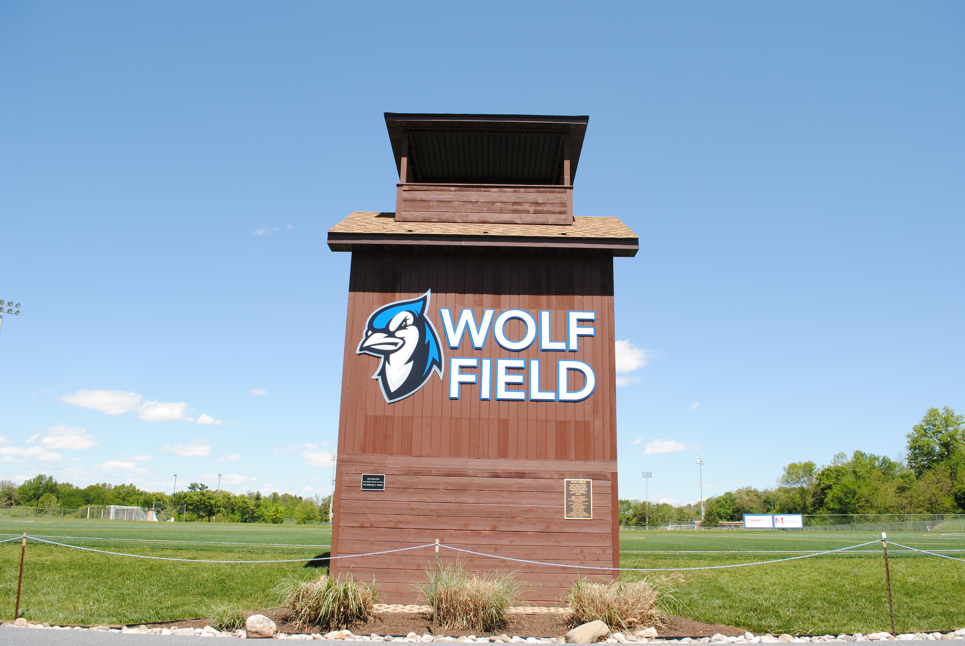 Wolf Field 2